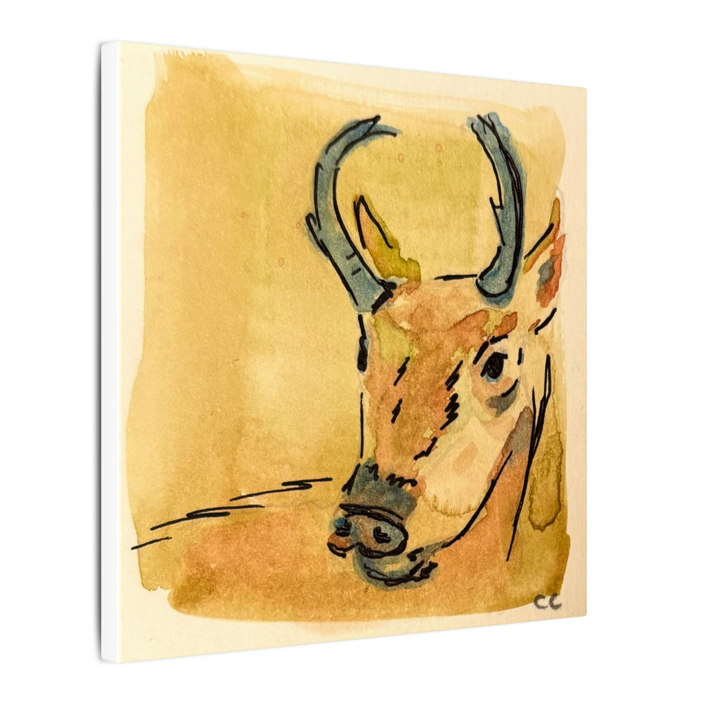 Antelope Watercolor Print Canvas - Square