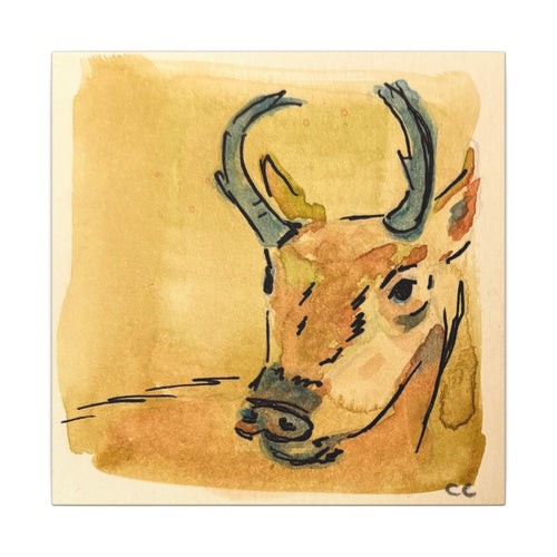 Antelope Watercolor Print Canvas - Square