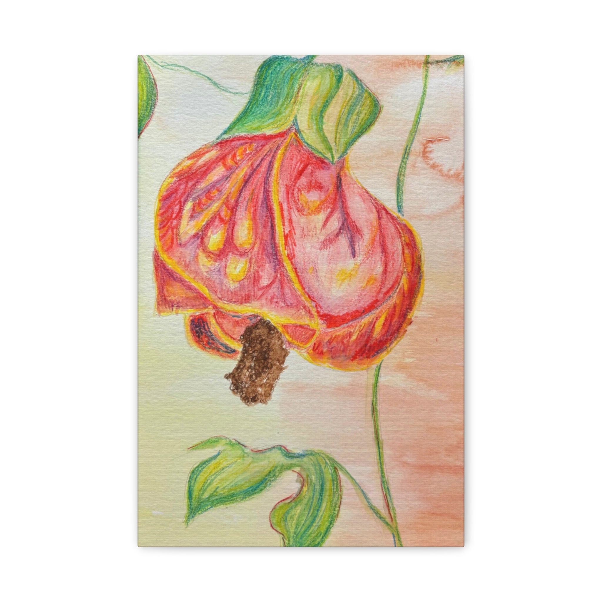 Lantern Flower Watercolor Canvas Wall Art
